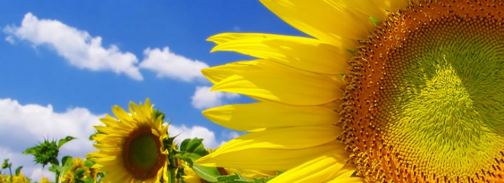 15th August: Ferragosto in Italy: don’t miss it!